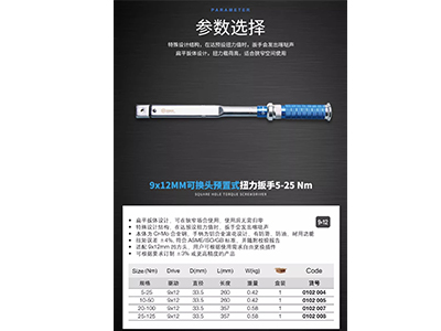 9x12MM可換頭預置式扭力扳手5-25 Nm